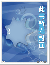 沉迷其中的冒险家（日式西幻，np）